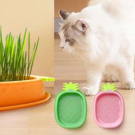 猫 おもちゃ 自然栽培 猫草キット