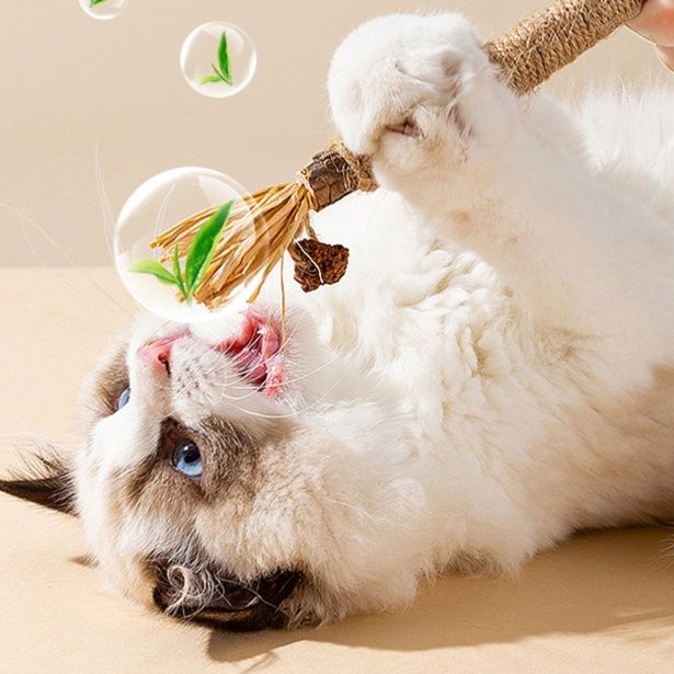 猫 おもちゃ 麻縄包みまたたび歯みがきスティック