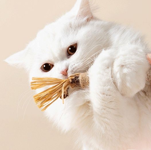 猫 おもちゃ 麻縄包みまたたび歯みがきスティック