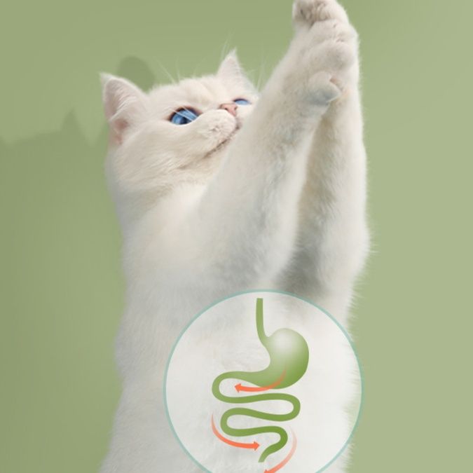 猫 おもちゃ 木製幾何学またたびボール