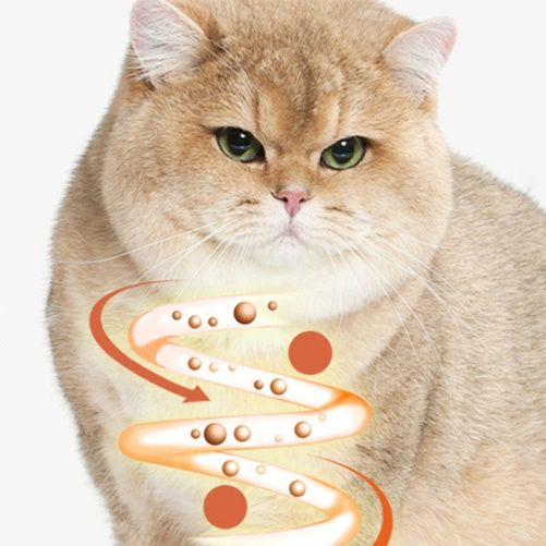 猫 おもちゃ 壁掛け式歯磨きまたたびボール