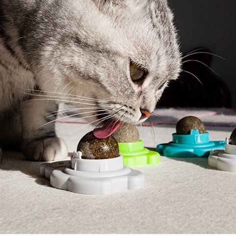 猫 おもちゃ 壁掛け式歯磨きまたたびボール