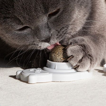 猫 おもちゃ 壁掛け式歯磨きまたたびボール