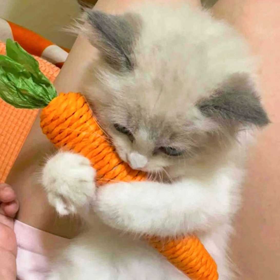 猫も大喜び！人参型おもちゃで楽しい遊び時間を過ごすおすすめ5選