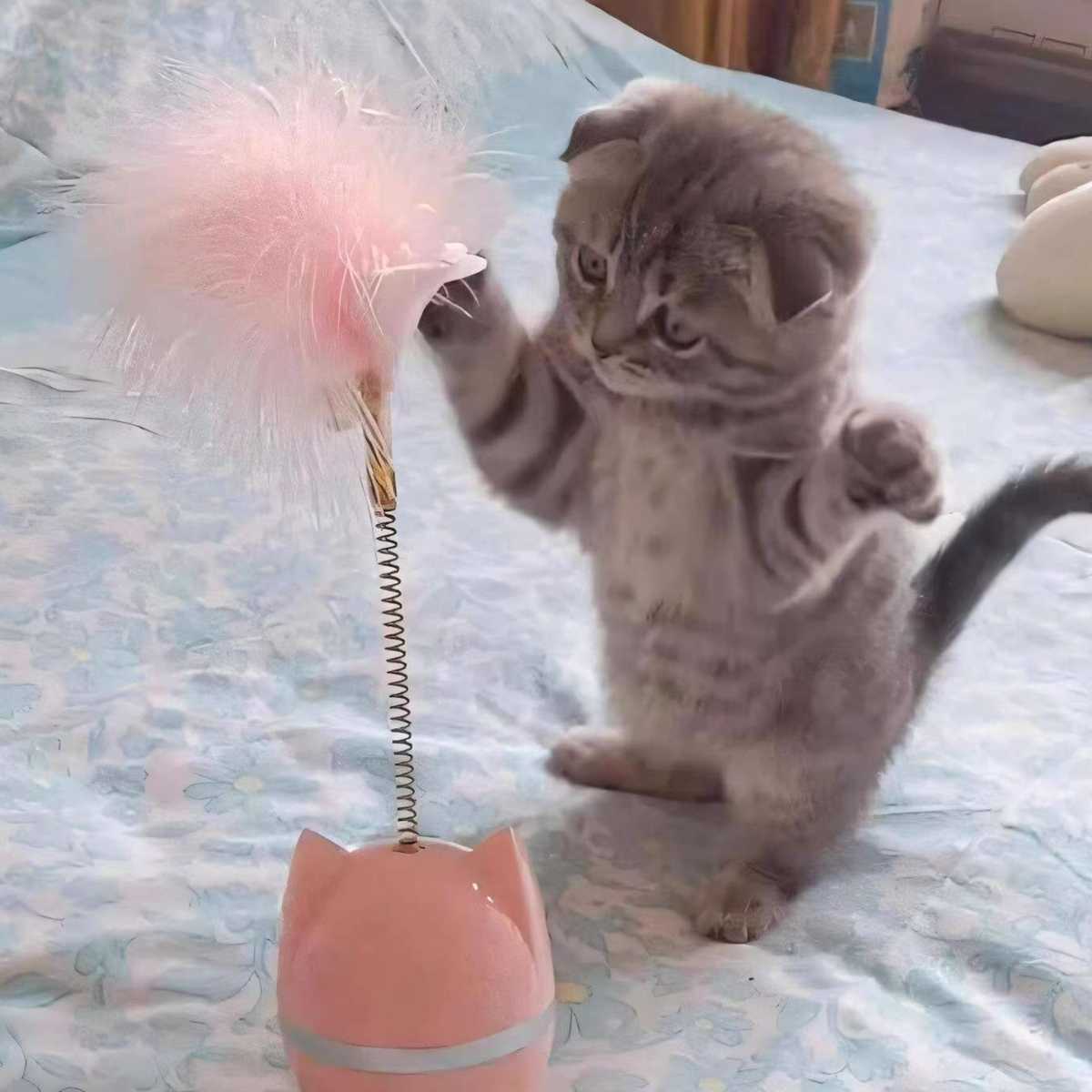 猫ちゃんの心を掴む！毎日の幸せを倍増させるおもちゃおすすめ5選