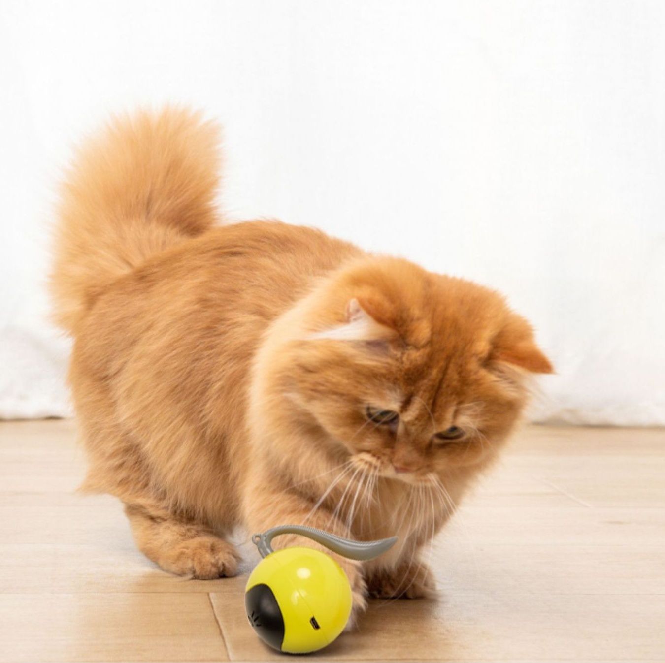 猫 おもちゃ 電子表情付き猫じゃらしボール型玩具