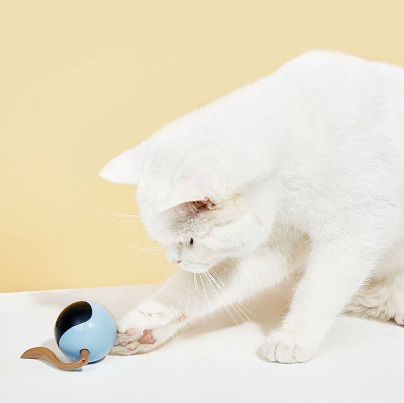 猫 おもちゃ 電子表情付き猫じゃらしボール型玩具