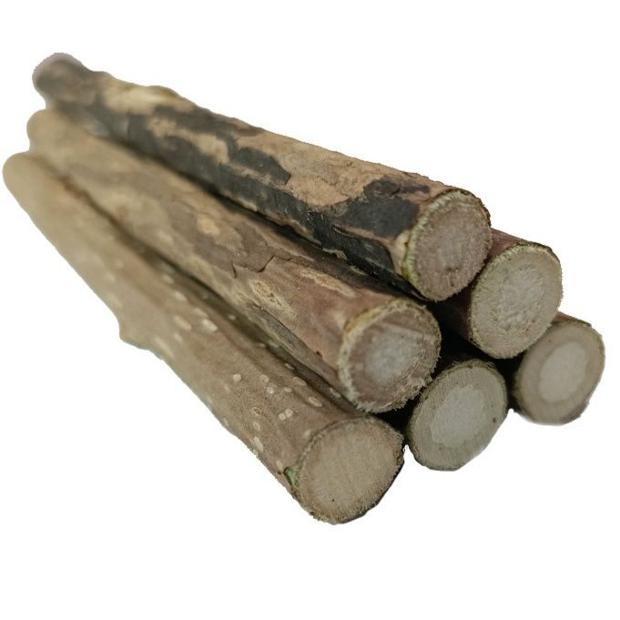 猫 おもちゃ 天然木の枝で作る歯磨き噛み噛み棒