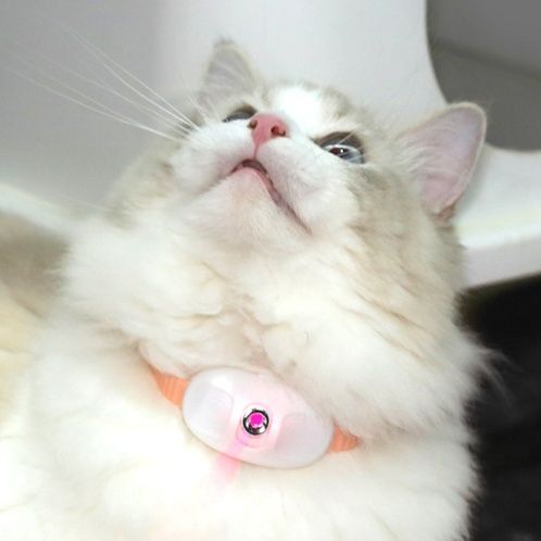 猫 おもちゃ 二種類発光モード付き電動回転猫じゃらし