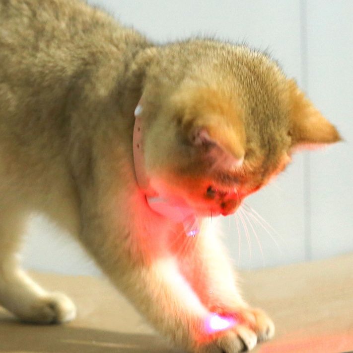 猫 おもちゃ 二種類発光モード付き電動回転猫じゃらし