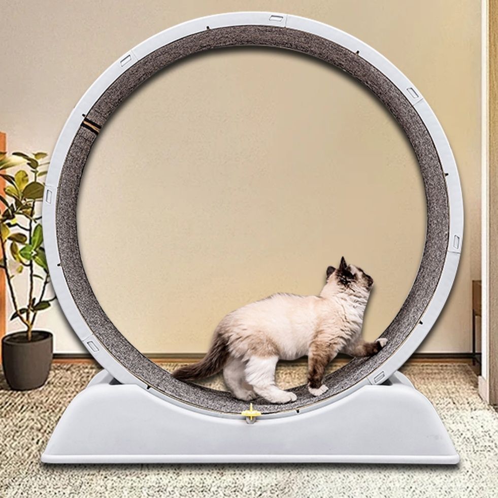 猫 おもちゃ 猫用回転ホイール型運動遊具