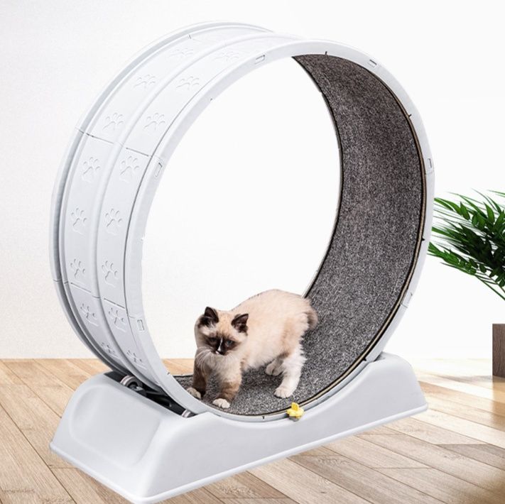 猫 おもちゃ 猫用回転ホイール型運動遊具