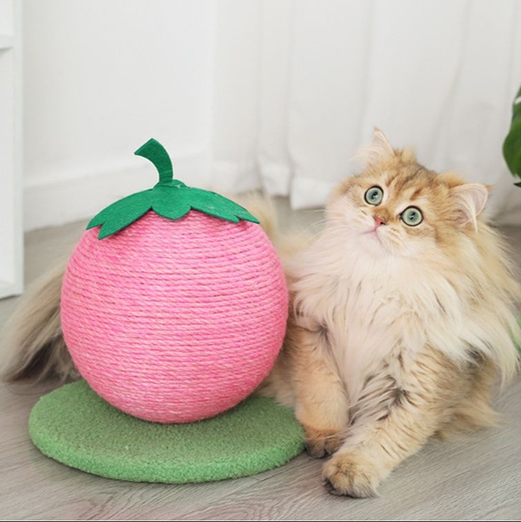 猫 おもちゃ 果物型爪とぎ麻球猫用遊具