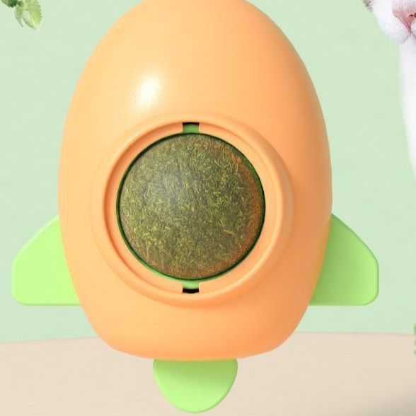 https://fulmo-img-server.com/party-cat/1779671028841_cpu8jrct_0c3uzlt7.jpeg