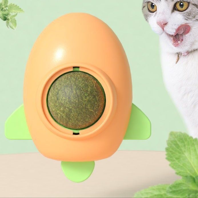 https://fulmo-img-server.com/party-cat/1779671112012_c0qoxgpk_lqyc9g5g.jpeg