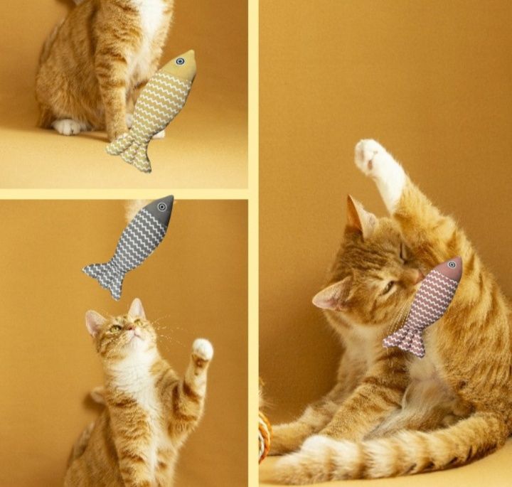 https://fulmo-img-server.com/party-cat/1779765027567_cxf4k8gu_q0oev9gd.jpeg