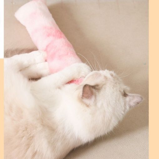 https://fulmo-img-server.com/party-cat/1779767477749_9s5t8z2d_w4wupf19.jpeg