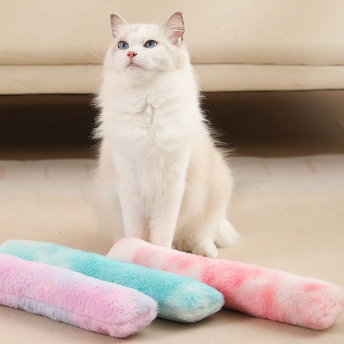 https://fulmo-img-server.com/party-cat/1779767542464_wf4t6uvl_0jq1pewf.jpeg