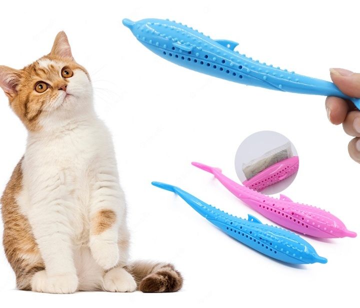 https://fulmo-img-server.com/party-cat/1779842300127_ca9jk3ed_zs4jpqlg.jpeg