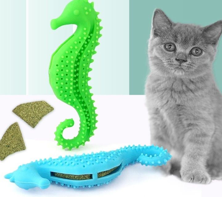 https://fulmo-img-server.com/party-cat/1779843230180_vvleesbn_7l4kwj45.jpeg
