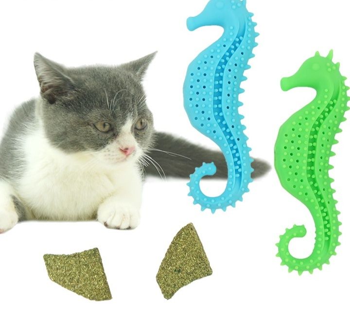 https://fulmo-img-server.com/party-cat/1779843427920_bvcupswt_e3jmal1o.jpeg