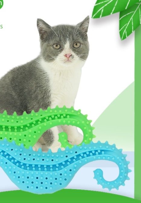 https://fulmo-img-server.com/party-cat/1779843654848_ip9k7bl9_fw8exgrf.jpeg