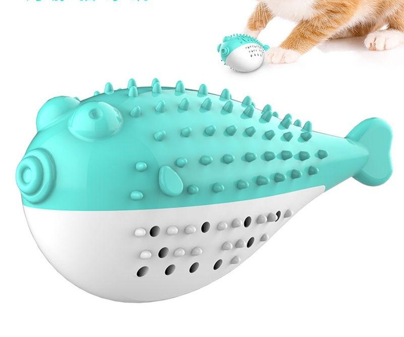 https://fulmo-img-server.com/party-cat/1779846299597_81tj78ql_0e9h8s79.jpeg