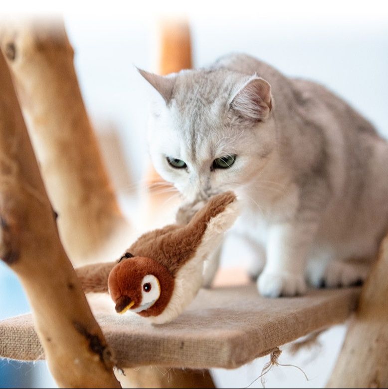 電動羽ばたき仕掛け付き鳥型猫おもちゃ 