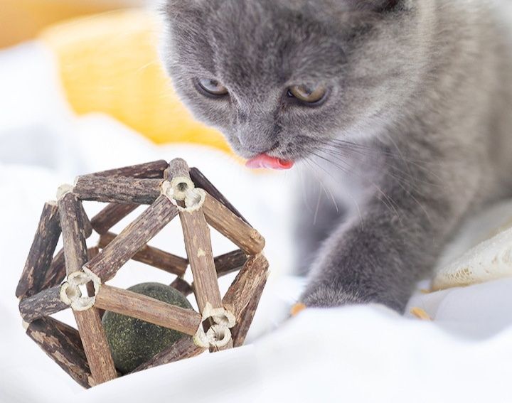 猫 おもちゃ 天然木枠またたびおもちゃボール型転がし玩具
