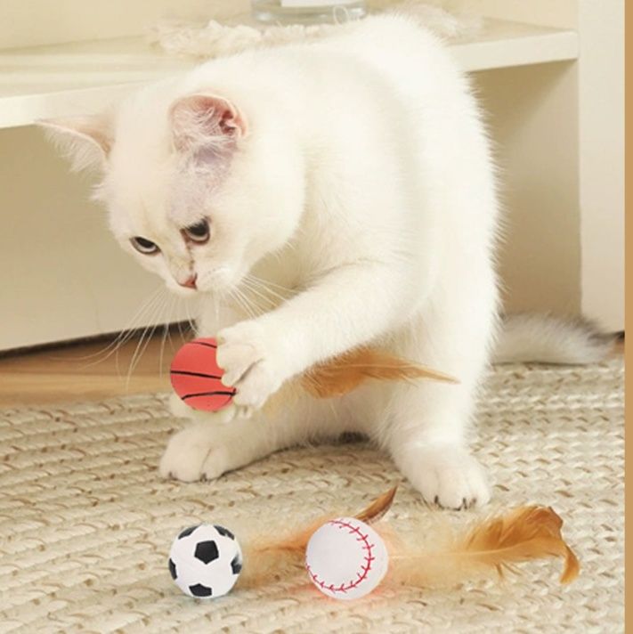 https://fulmo-img-server.com/party-cat/1779852850805_upshlw1f_vsp838jc.jpeg