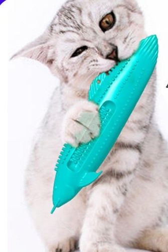 https://fulmo-img-server.com/party-cat/1779929506857_0mzod8hr_561jhbeu.jpeg