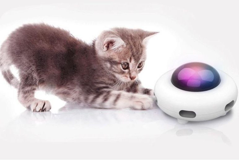 猫 おもちゃ 光る球体自動羽根付き猫用知育玩具