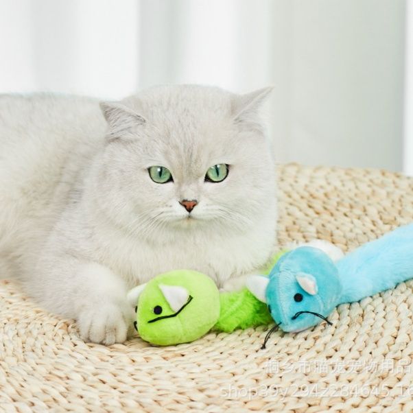 https://fulmo-img-server.com/party-cat/1785292232959_rffprx0b_gihb5l8g.jpeg