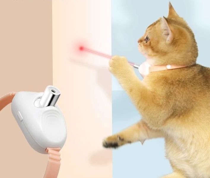https://fulmo-img-server.com/party-cat/1786163110103_qoruarnr_k1n5fe3m.jpeg