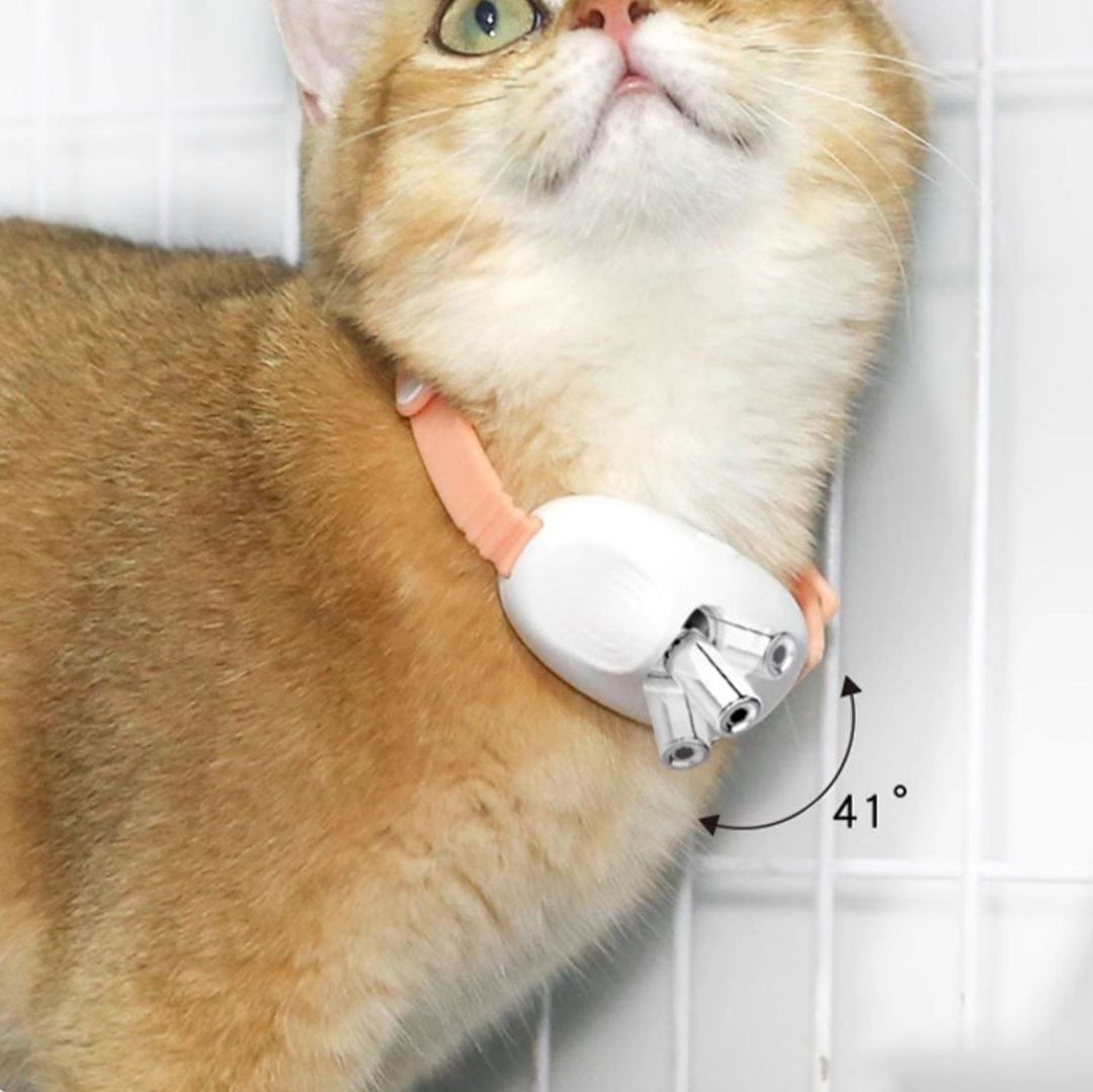 https://fulmo-img-server.com/party-cat/1786163158047_pccjjkhe_gsofwt4x.jpeg