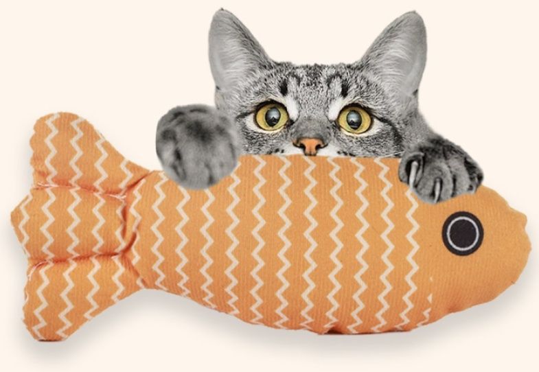 https://fulmo-img-server.com/party-cat/1787544834284_ouknem8g_xmk450u9.jpeg