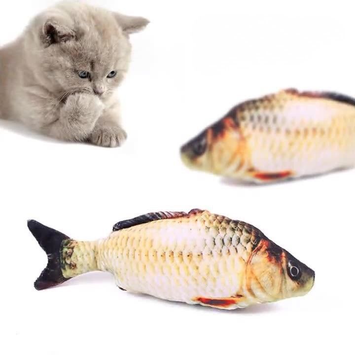 https://fulmo-img-server.com/party-cat/1787545970610_8gfndsuf_y3ggk6wo.jpeg