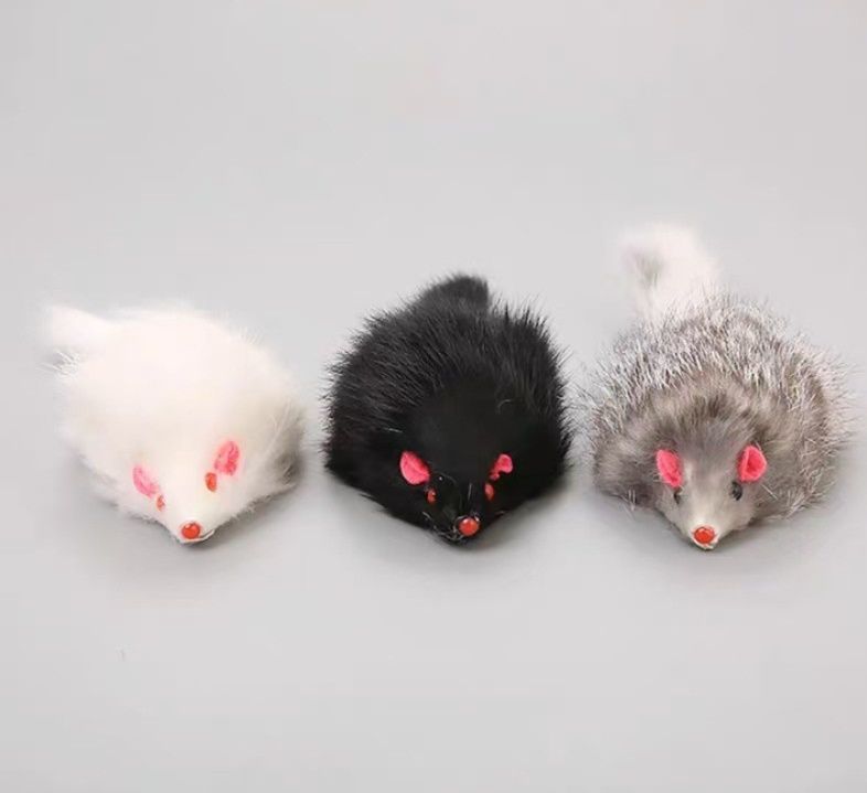 https://fulmo-img-server.com/party-cat/1787547016618_hyj38uxo_htfomg95.jpeg