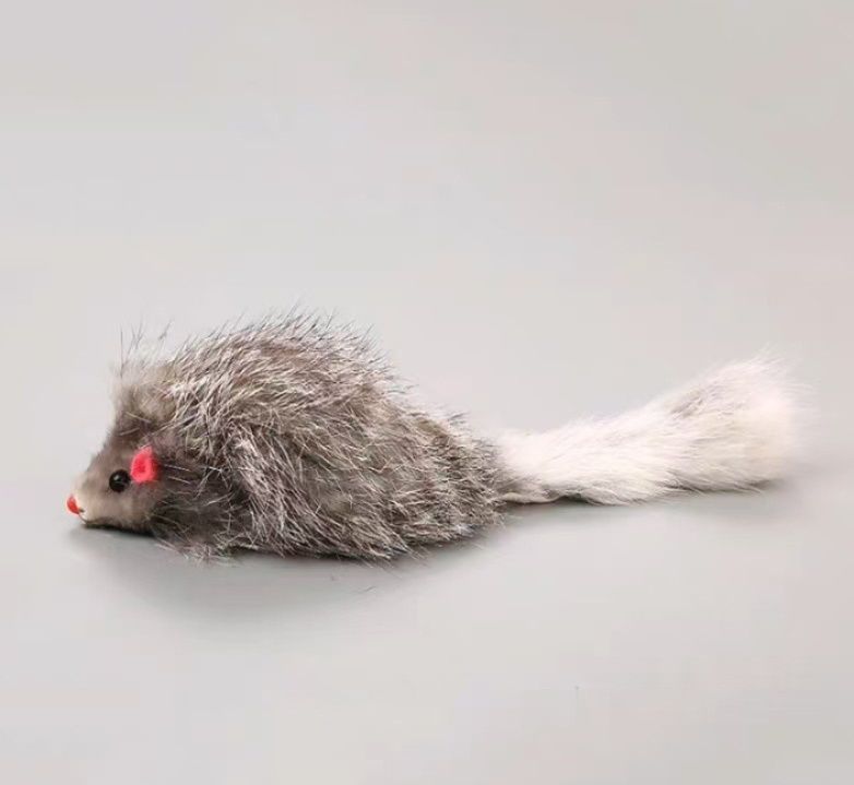 https://fulmo-img-server.com/party-cat/1787547029194_czq1vled_9di46oa1.jpeg