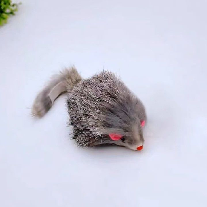 https://fulmo-img-server.com/party-cat/1787547082643_s20neg8n_am1441jn.jpeg