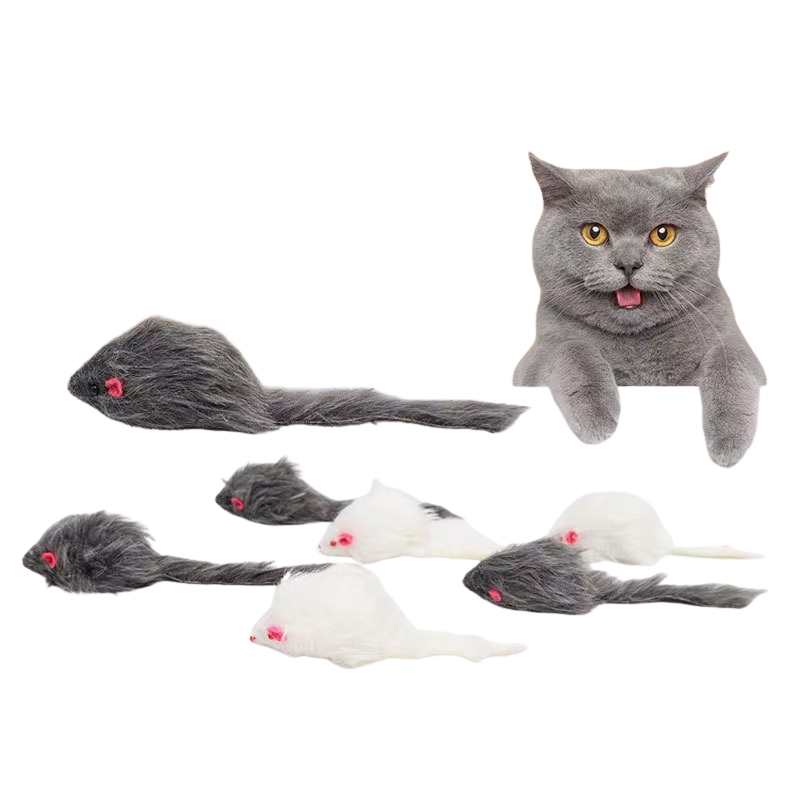 https://fulmo-img-server.com/party-cat/1787547200071_7ygnzk2s_5clm02d9.png