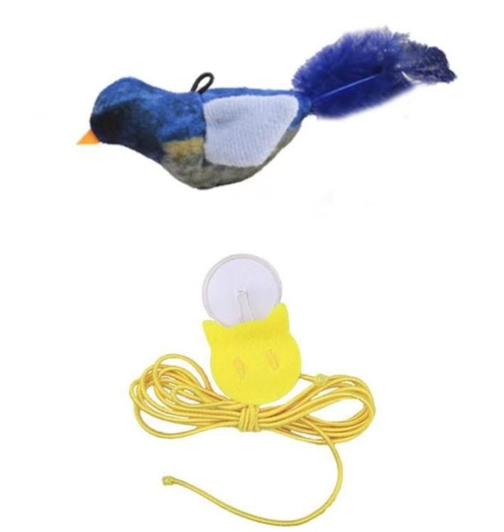 https://fulmo-img-server.com/party-cat/1787547877485_140zpx9y_oc2r133t.jpeg