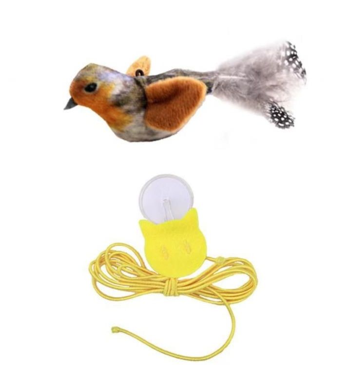 https://fulmo-img-server.com/party-cat/1787547915258_yaohy8xr_8xzcp9rd.jpeg