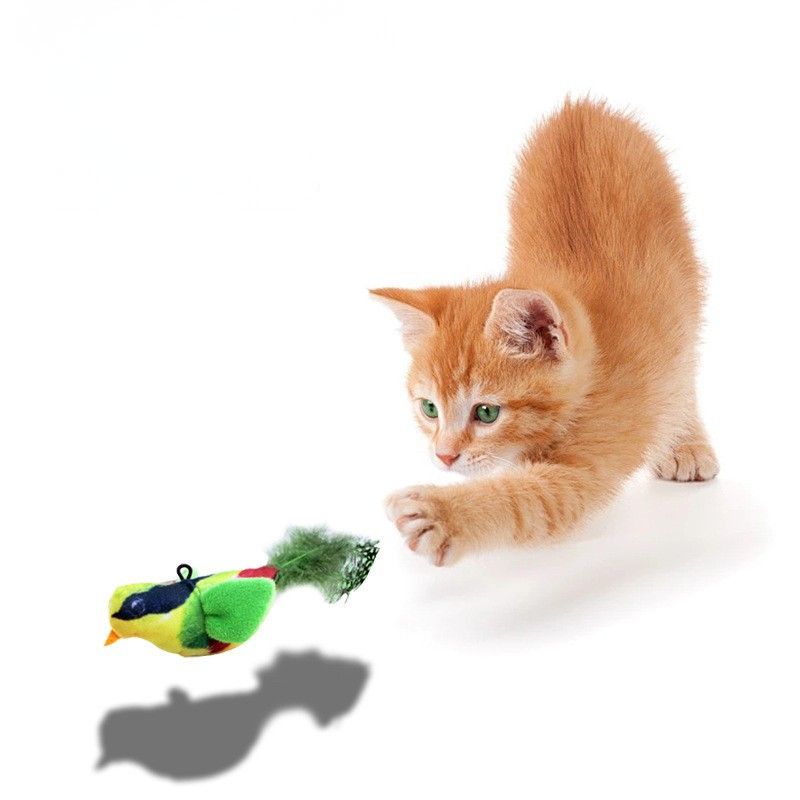 https://fulmo-img-server.com/party-cat/1787548115876_q7op8ecq_a4san6kh.jpeg