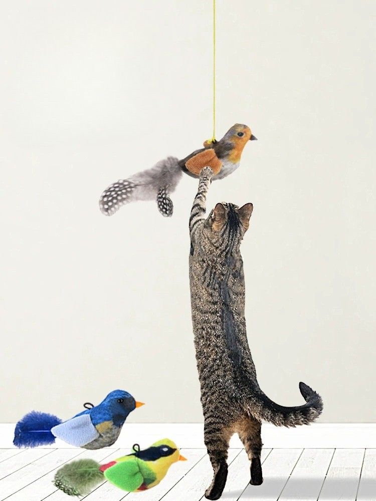 https://fulmo-img-server.com/party-cat/1787548125599_xq7c9qqh_slleuy4a.jpeg