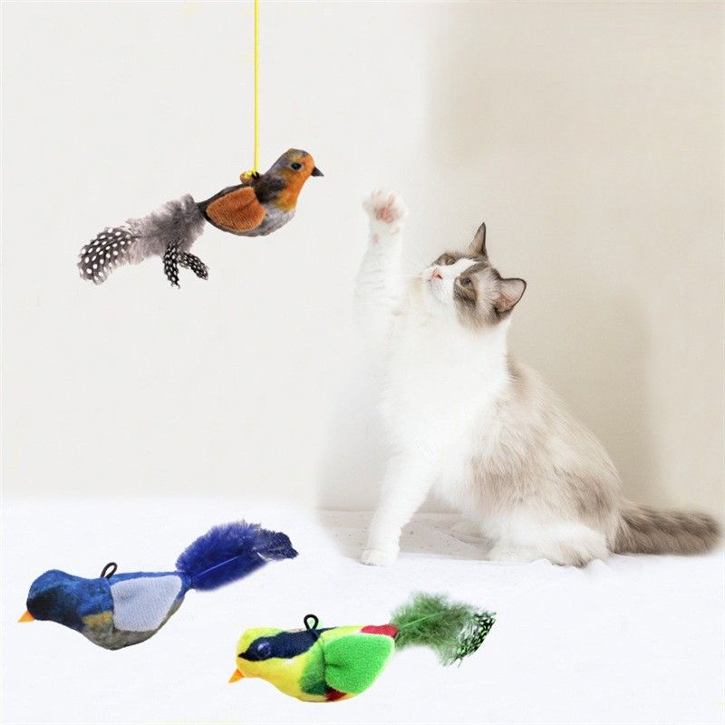 https://fulmo-img-server.com/party-cat/1787548133445_npdia53t_ogjxw09u.jpeg