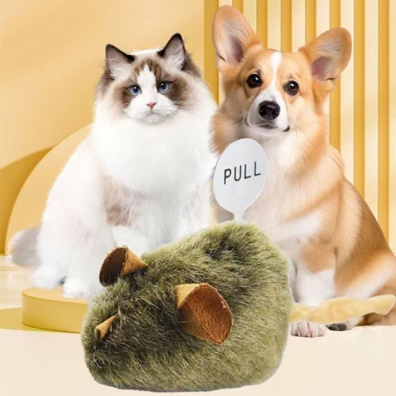 https://fulmo-img-server.com/party-cat/1787548996334_8gxmgezp_h0m3ey77.jpeg