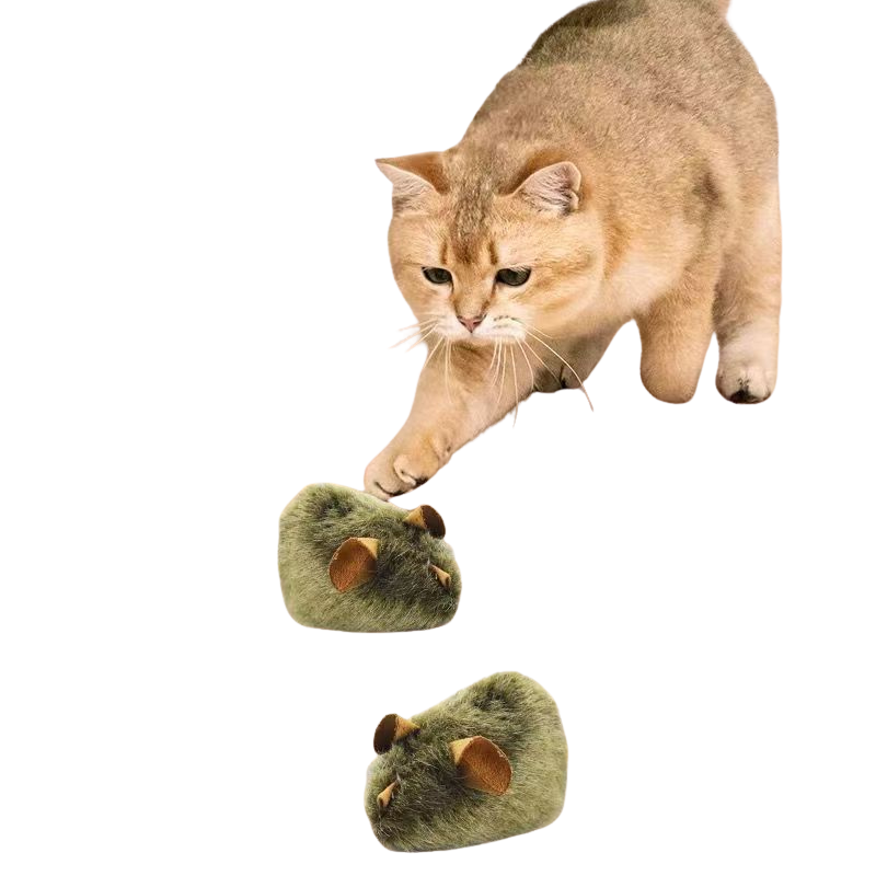 https://fulmo-img-server.com/party-cat/1787549091572_5qrlzobn_wh3rk6fp.png