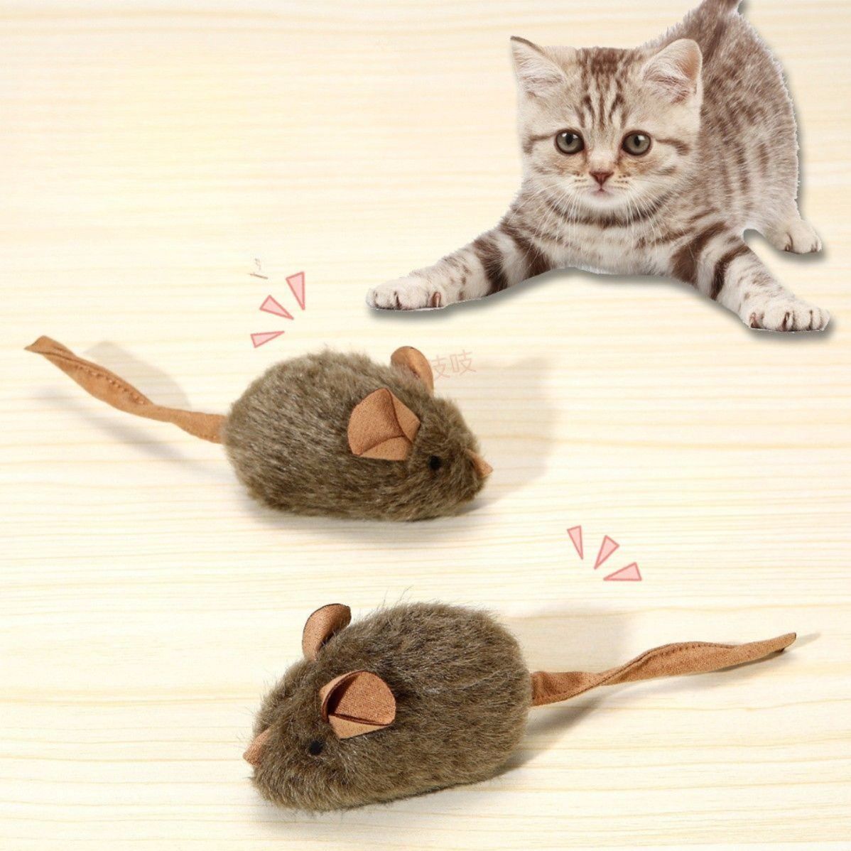 https://fulmo-img-server.com/party-cat/1787624288279_xorxkhlp_nbp1ch7l.jpeg