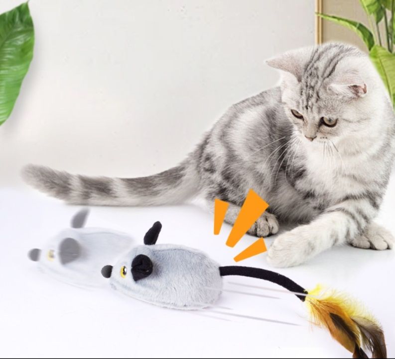 https://fulmo-img-server.com/party-cat/1787624712461_9s34y8al_23k9crme.jpeg